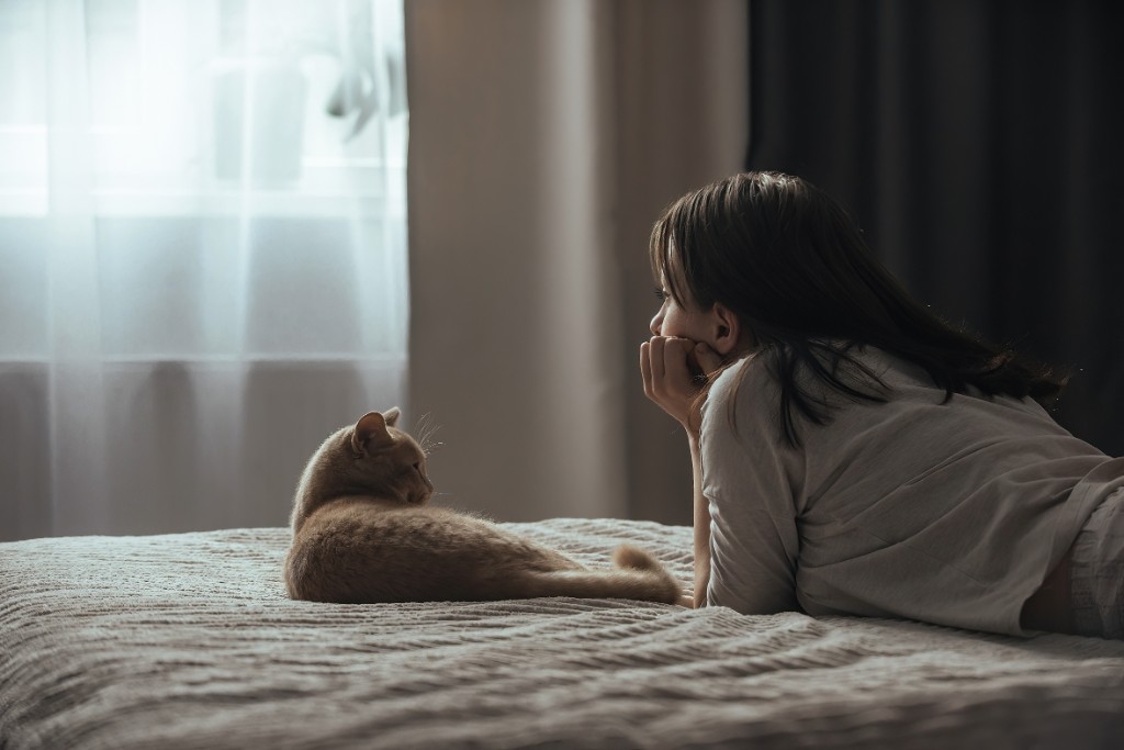 Mental Health in Alberta A Guide to Seasonal Affective Disorder and Long Term Disability Claims