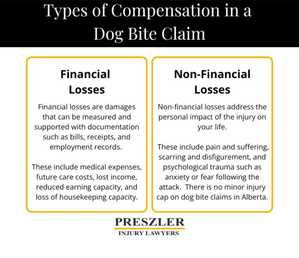 Image showing types of compensation available in an Alberta dog bite claim, divided into financial losses and non-financial losses.